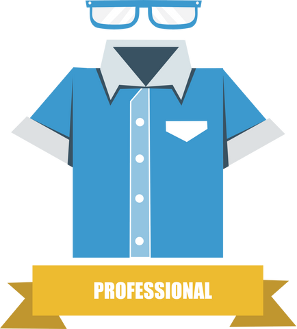 Professional - 2 to 5 years experience